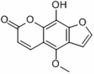 中藥標(biāo)準(zhǔn)品