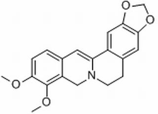 中藥標(biāo)準(zhǔn)品