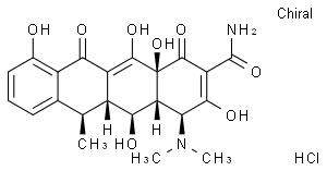 抗體素類