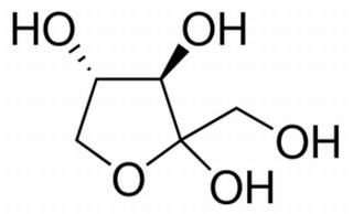 碳水化合物類(lèi)