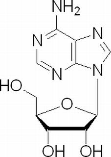 植物激素及核酸類