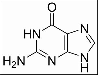 植物激素及核酸類(lèi)