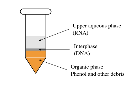 DNA/RNA提取試劑盒